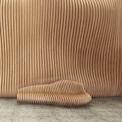 Design of a parametric wooden wall